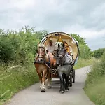 Nengshof Wegwarte דירה Wißmannsdorf