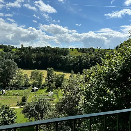 Nengshof Wegwarte Wißmannsdorf