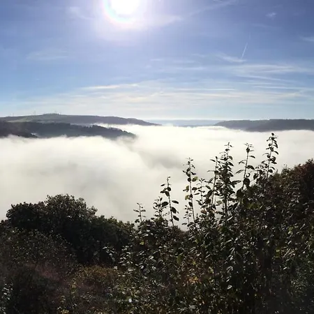 Nengshof Wegwarte * Wißmannsdorf