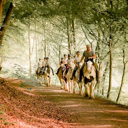 Nengshof Wegwarte 아파트 *