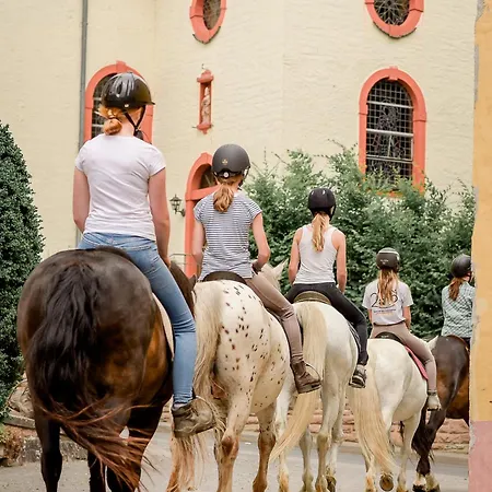 Nengshof Wegwarte * Wißmannsdorf