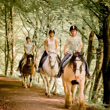 Nengshof Wegwarte Wißmannsdorf