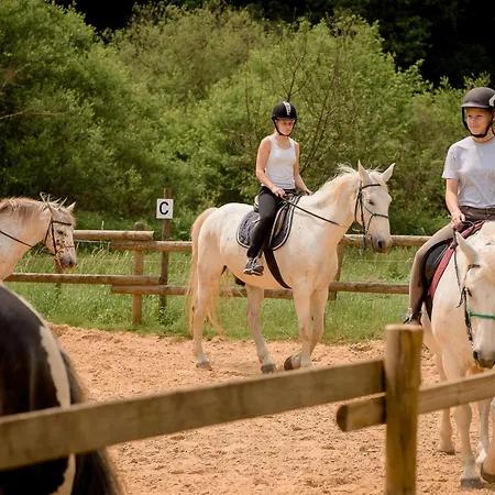 Nengshof Wegwarte Appartement