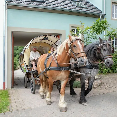 Nengshof Wegwarte Апартаменты