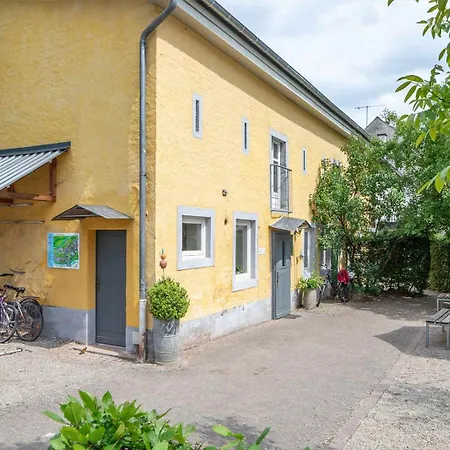 Nengshof Wegwarte