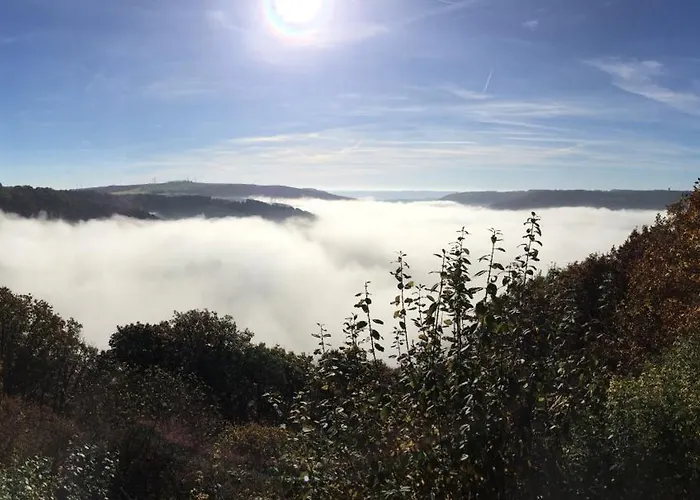 Nengshof Wegwarte * Wißmannsdorf