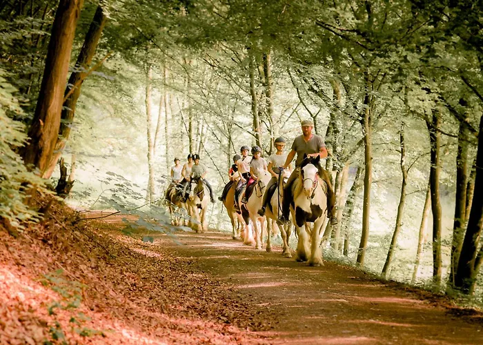 Nengshof Wegwarte דירה *