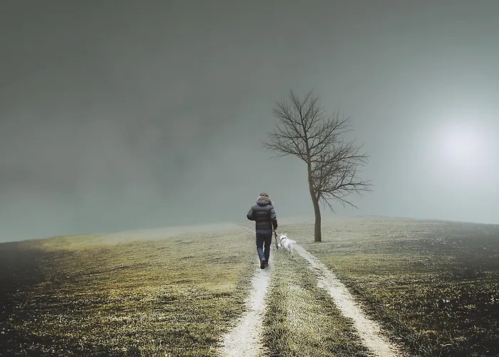 Nengshof Wegwarte דירה