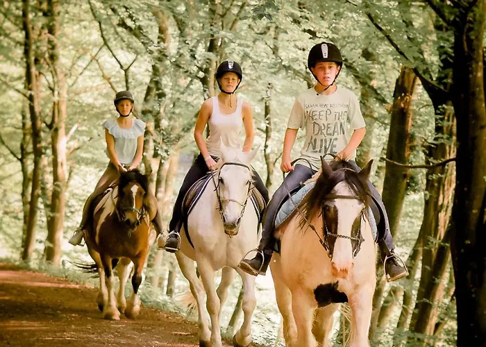 Nengshof Wegwarte Wißmannsdorf