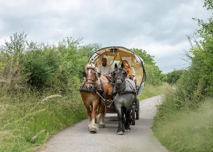 Nengshof Wegwarte Апартаменты Висмансдорф