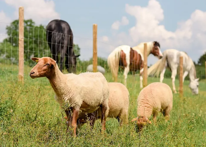 Nengshof Wegwarte Апартаменты