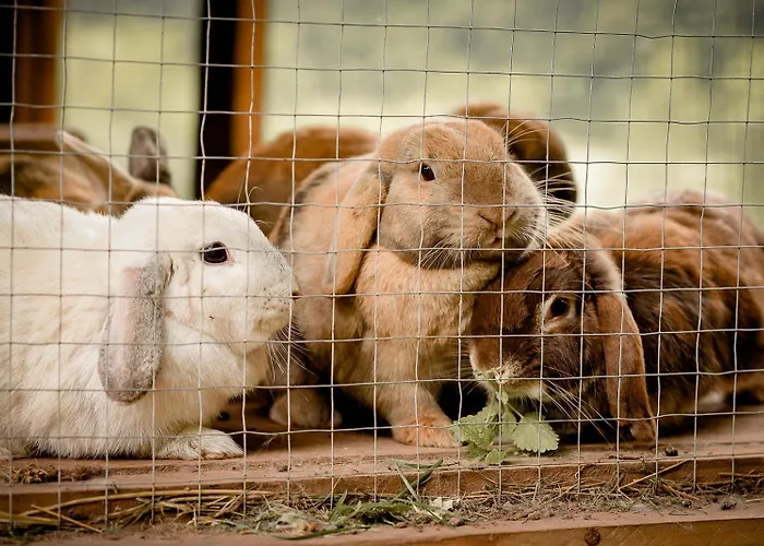 Nengshof Wegwarte Апартаменты Висмансдорф