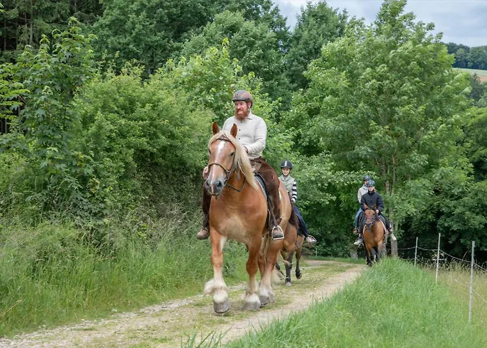 Nengshof Wegwarte Апартаменты Висмансдорф